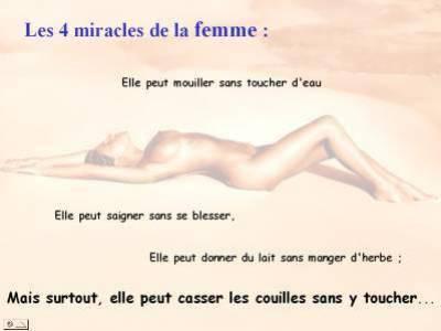 ses vrai les chou